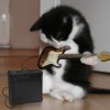 The Blackice Music Of Brotherhood