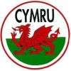 Welsh Group