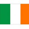 Paddy Group
