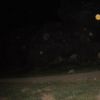 Paranormalcy