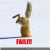 Stupidity Moments!!!!!