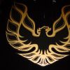 Trans Am