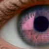 The Zeitgeist Movement