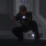 halo11398