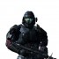 halowarsmast