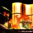 halowizard10