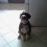 havoc_spiner is online