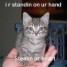 josh123602 is online