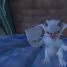 kittydragon
