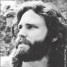 lizardking91 is online
