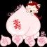 meow1571