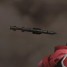 moharmate is online