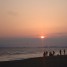 oaken_summer