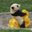 pandaofmetal