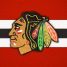 puckplayer