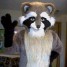 raccoonfeetz