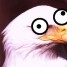 ricick is online