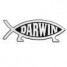 rndmwrd5