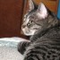 sadistkitty