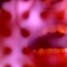 sargentshado is online
