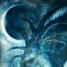 shadowdrgon
