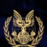the42ndUnit