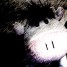 tonyzedz is online